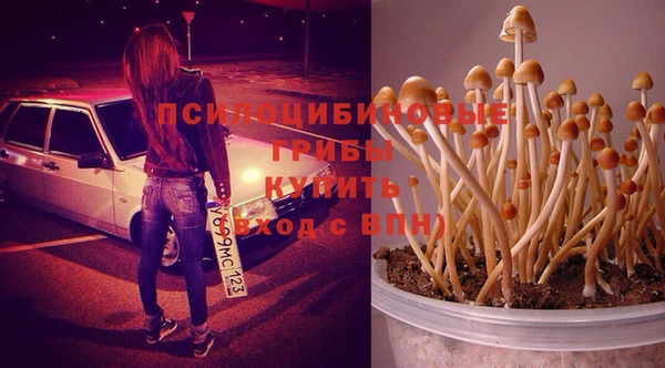 кокаин премиум Арсеньев