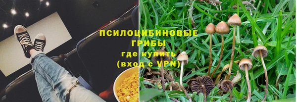 прущая мука Ростов